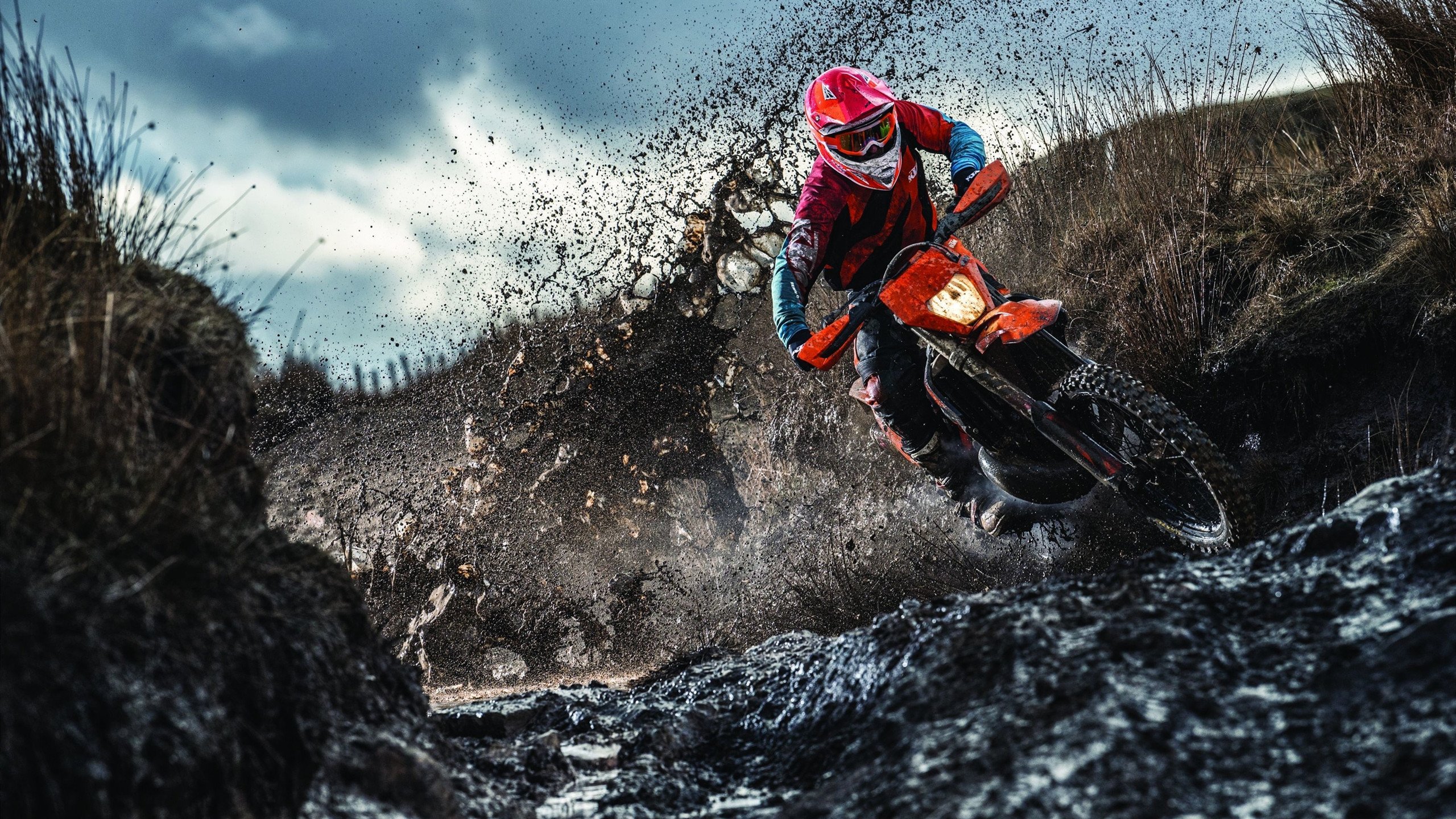 《星际争霸2》赛事对游戏文化的传承:经典IP与新时代的融合,星际争霸2大型赛事